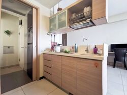 Parc Vera (D19), Condominium #592544861